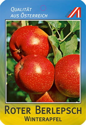 Roter Berlepsch Apfel