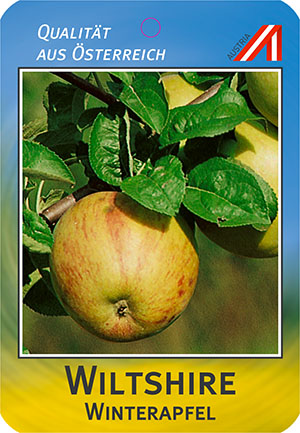 Wiltshire Apfel